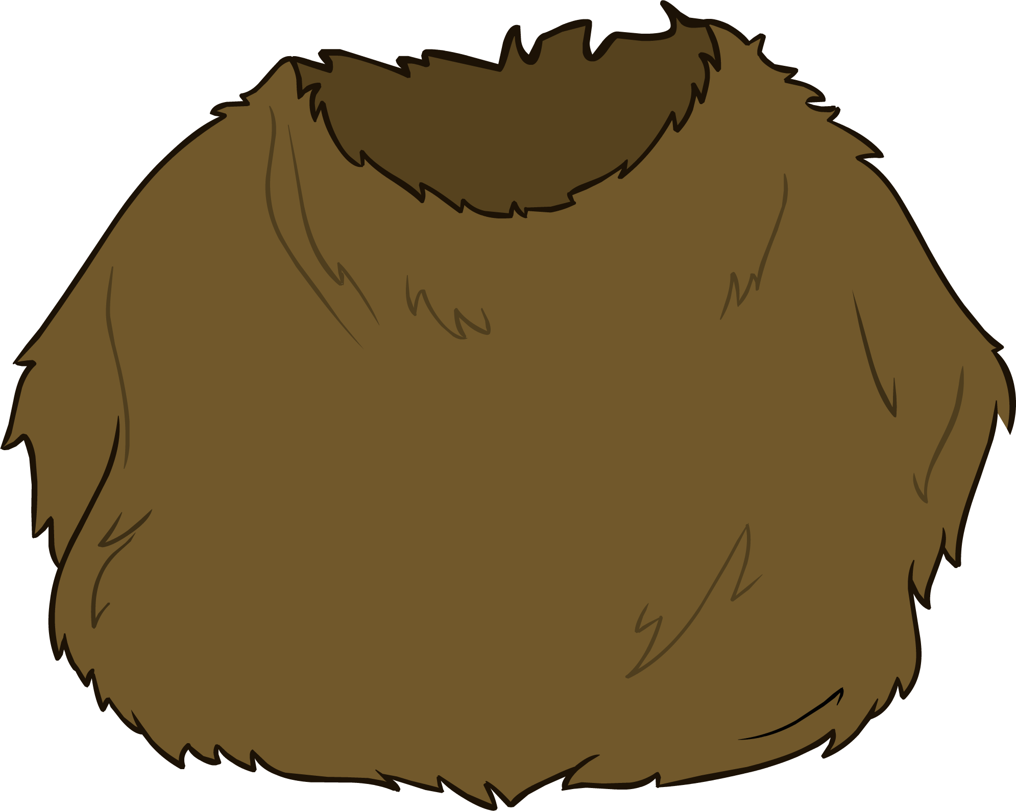 Wookiee Costume - Illustration (1990x1589)