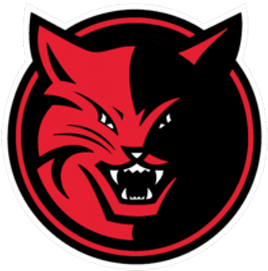 Nitro High School - Charlotte Bobcats Logo (400x400)