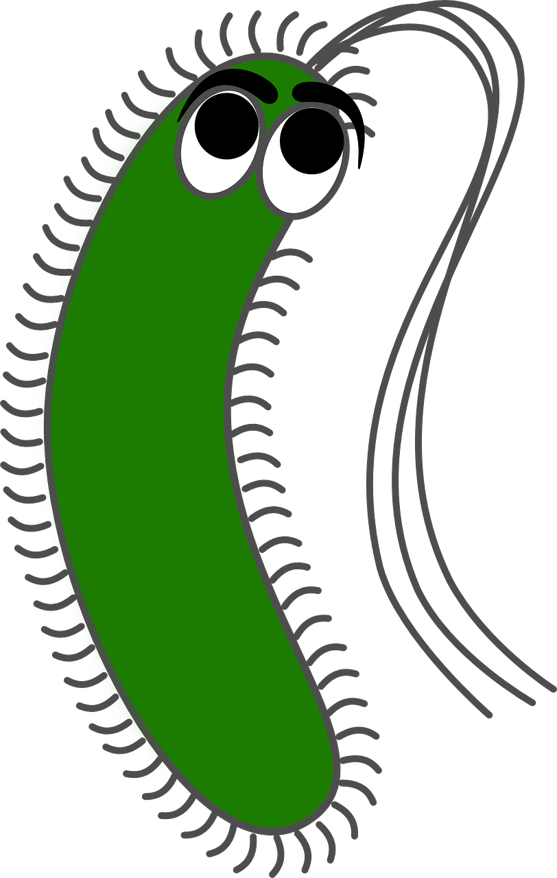 Miscellaneous - Gram Negative Bacilli Cartoon (1219x1920)