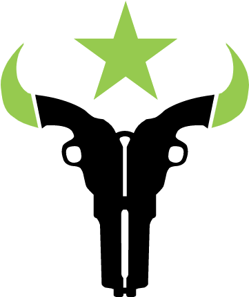 Overwatch League Houston Outlaws (455x455)