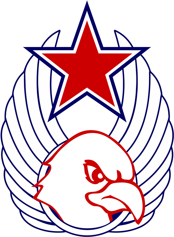 Dallas Cowboys Star (600x808)