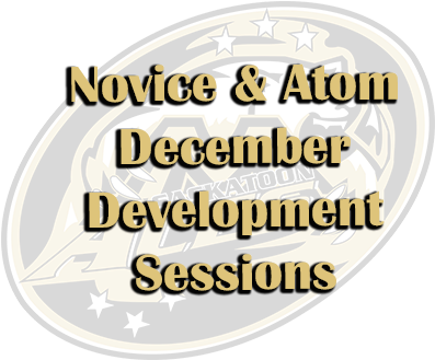 All Ice Times Are At Jemini Arena - All Ice Times Are At Jemini Arena (492x369)