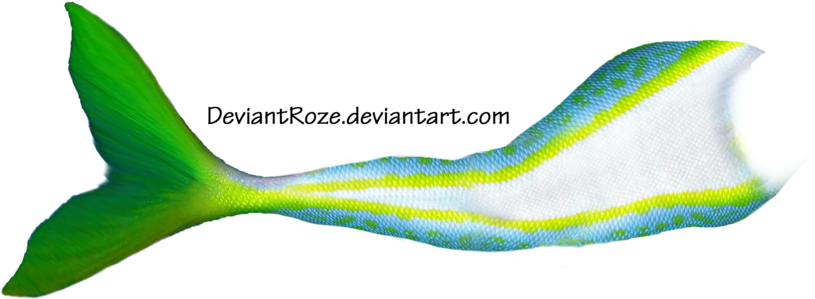 More Like Mermaid Tail 11 By Deviantroze - Photoshop Mermaids Fish Tail (900x425)