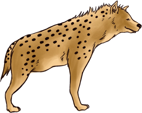 Hyena Png - Hyena Clipart (463x370)