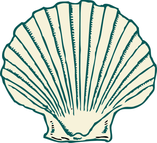 Shell Clip Art At Clker - Shell Clip Art (600x549)