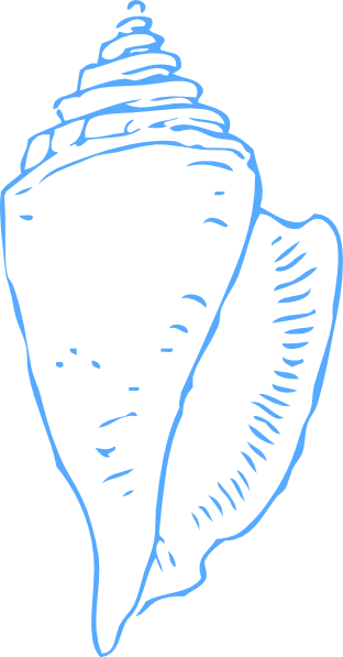 Shell Svg Clip Arts 312 X 597 Px - Clipart Black And White Seashell (312x597)