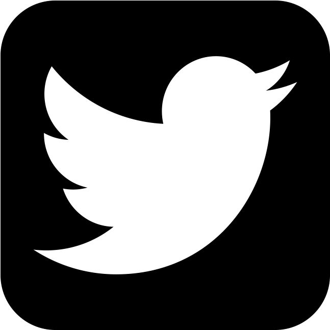 Sample And Used Wedding Dresses, Engagement Rings And - Twitter Icon Png Black (626x626)