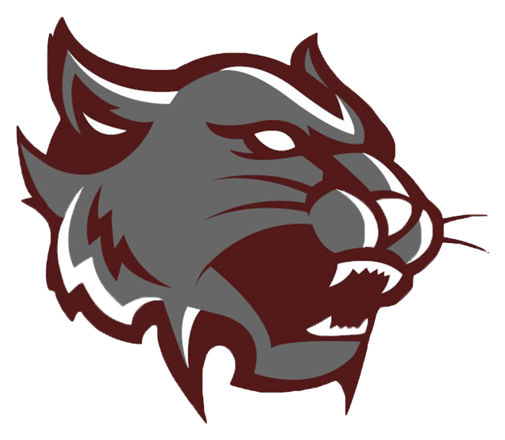 School Logo - Mount Vernon Wildcats Logo (737x640)
