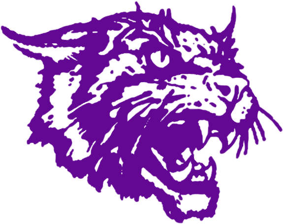 Wildcats - Tarrant High School Alabama Logo (600x500)