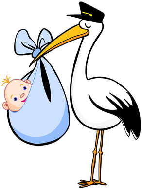 Announcements Clip Art - Stork Clipart Boy (312x400)