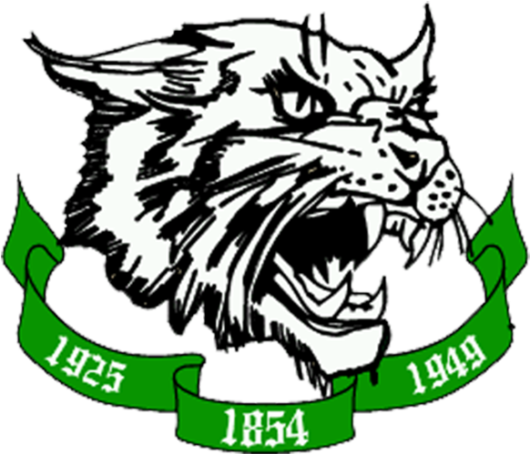 18 321k Wildcat 03 Feb 2008 - Arundel High School (800x800)