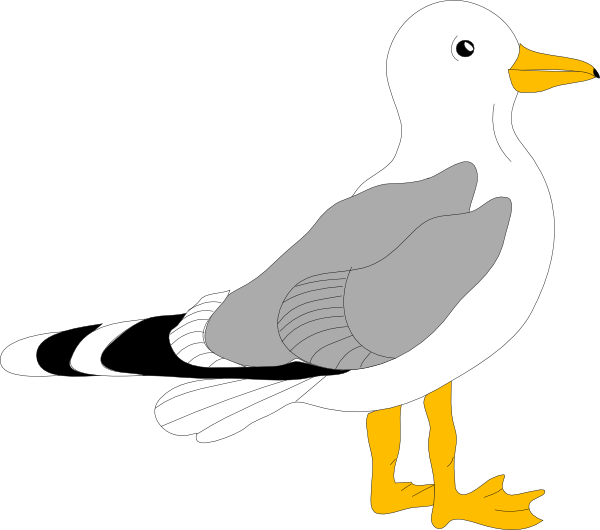 Seagull Clipart (600x530)