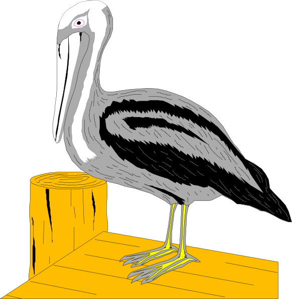 Pelican Clip Art - Pelicans (958x984)