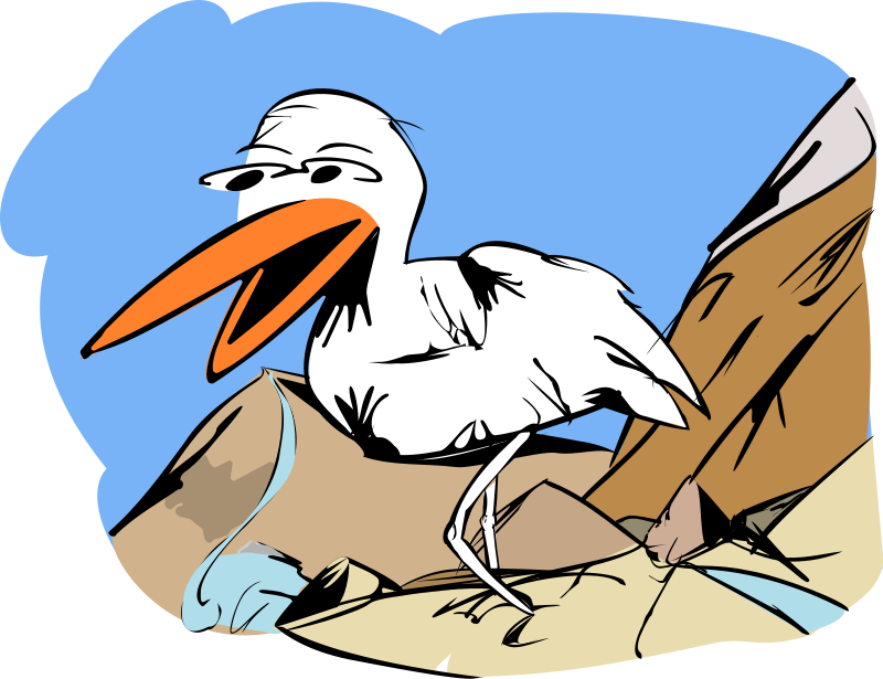 Free Bird In A Desert Landscape Clip Art - Custom Pelican Shower Curtain (800x615)