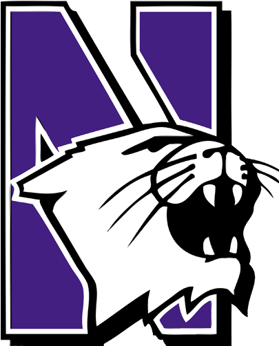Printable Version - Northwestern University Wildcats Logo (955x500)