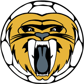 Both Reading Lions And The University Of Loughborough - Handball Ball Clipart (750x497)