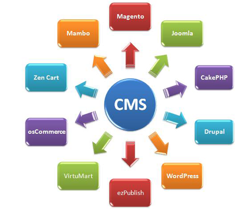We At Bizz Digital Marketing Help In Leveraging The - Web Content Management Systems (511x417)