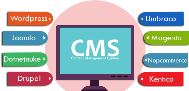 16 Jun Content Management System - Screenshot (1024x300)