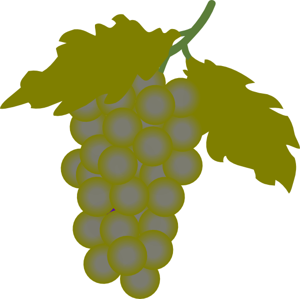 Grapes Clip Art (600x597)