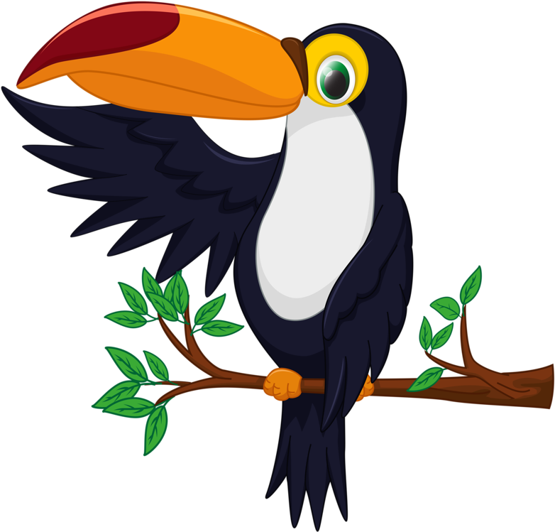 Фото, Автор Soloveika На Яндекс - Cartoon Toucan Bird (800x762)