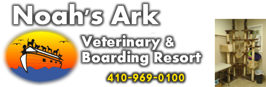 Noah's Ark Veterinary & Boarding Resort - Valencia Orange (920x320)