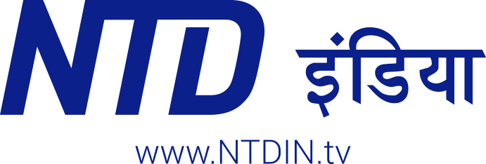 Ntd India Video Portal - Video Portal (691x234)
