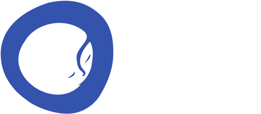 Beyond Noah's Ark - Beyond Noah's Ark (1500x735)