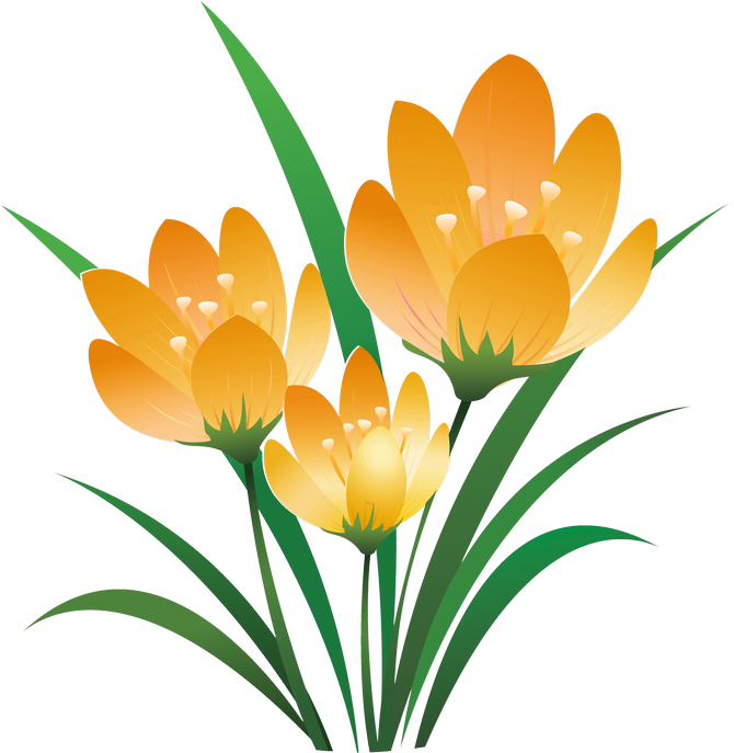 Album - Eid Al Fitr Greetings (670x687)