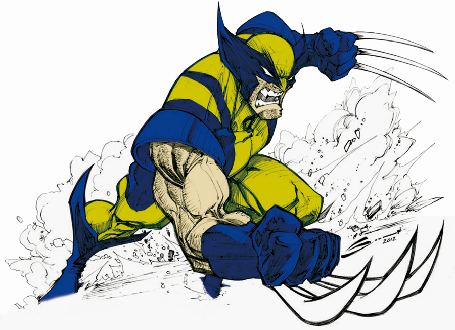 Marvel Wolverine - Cartoon (900x652)