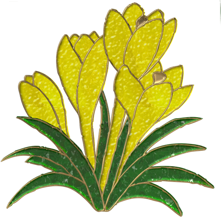 Crocus 800*764 Transprent Png Free Download - Crocus 800*764 Transprent Png Free Download (800x764)