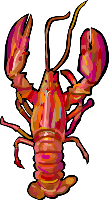 Vector Illustration Of Cooked Clawed Lobster Seafood - Crustaceans Types (384x700)