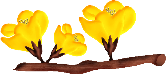 Fleurs23m2 Fleurs23m4 - Hareketli Çiçek Açma (596x256)