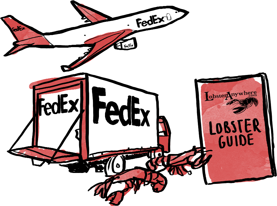 Learn More About How Lobsteranywhere Ships Live Lobster - Fedex Freight (1129x833)