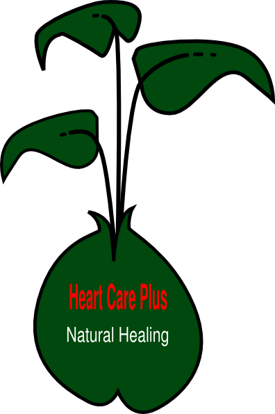 Herbs Clip Art At Clker - Bean Sprout Clipart (396x595)
