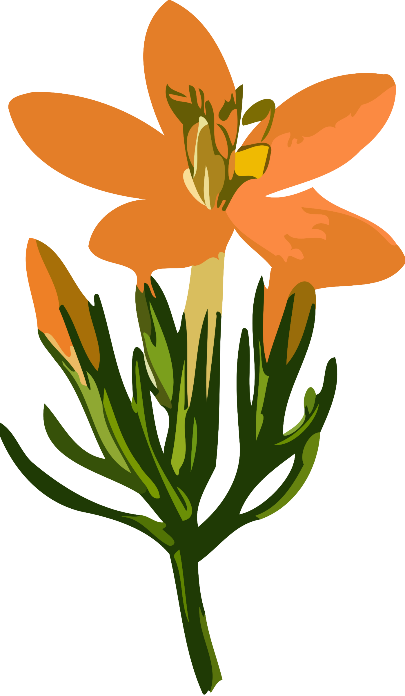 Big Image - Flower Images Low Resolution (1397x2400)