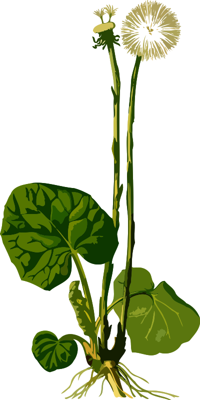 Medium Image - Medium Image (400x800)