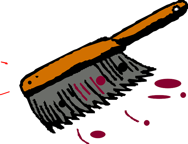 Small, Little, Ground, Clean, Dust - Scrub Brush Clip Art (640x489)