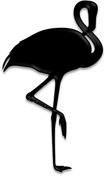 Birds Silhouettes Art & Islamic Graphics - Juanito Makandé: Las Canciones Que Escribi Mientras (349x580)