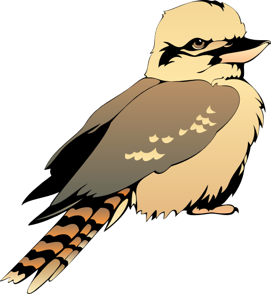 Young Bird Clip Art At Clker - Clip Art (552x600)