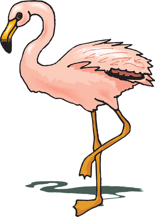 Flamingo Clipart Wings - Flamingo Cliparts (516x720)
