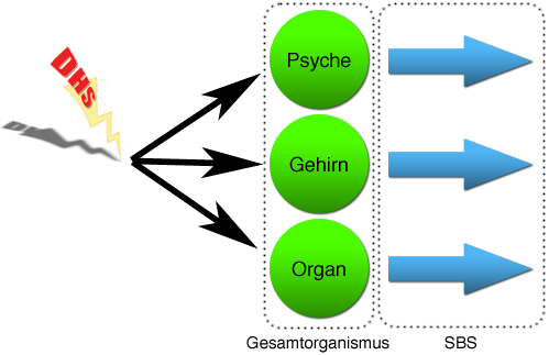 Psyche Gehirn Organ Dhs Sbs - Diagram (499x323)