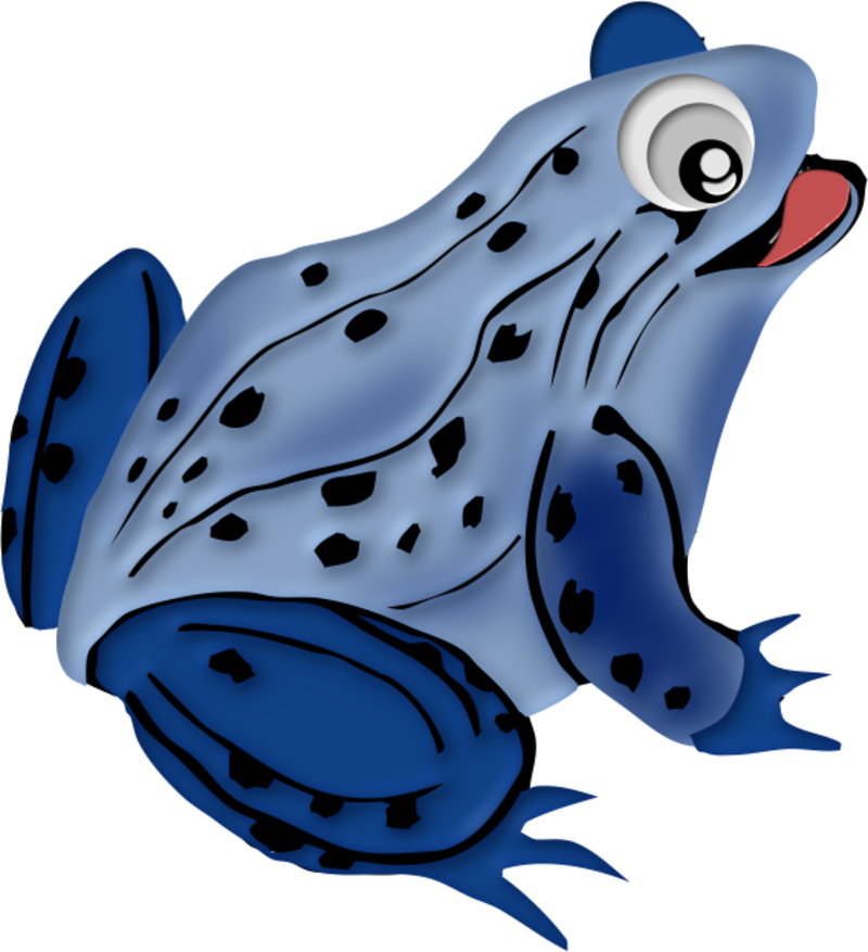 Résultat De Recherche D'images Pour "aide Cliparts - Blue Frog Clipart (800x877)