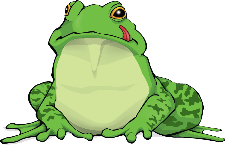 Amphibian Png Free Download - Amphibian Png (937x603)