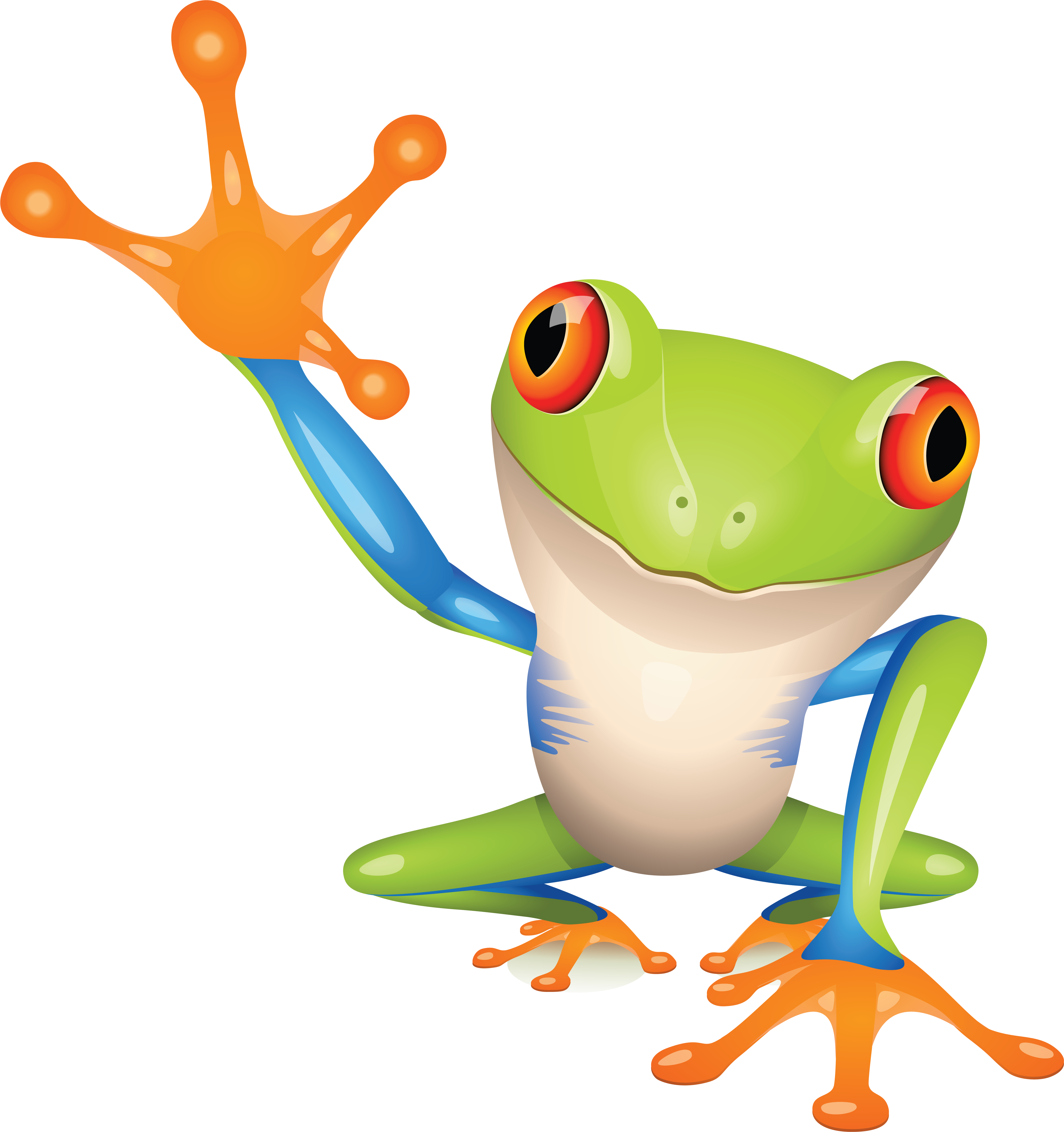 Tree Frog Cartoon (5320x5576)