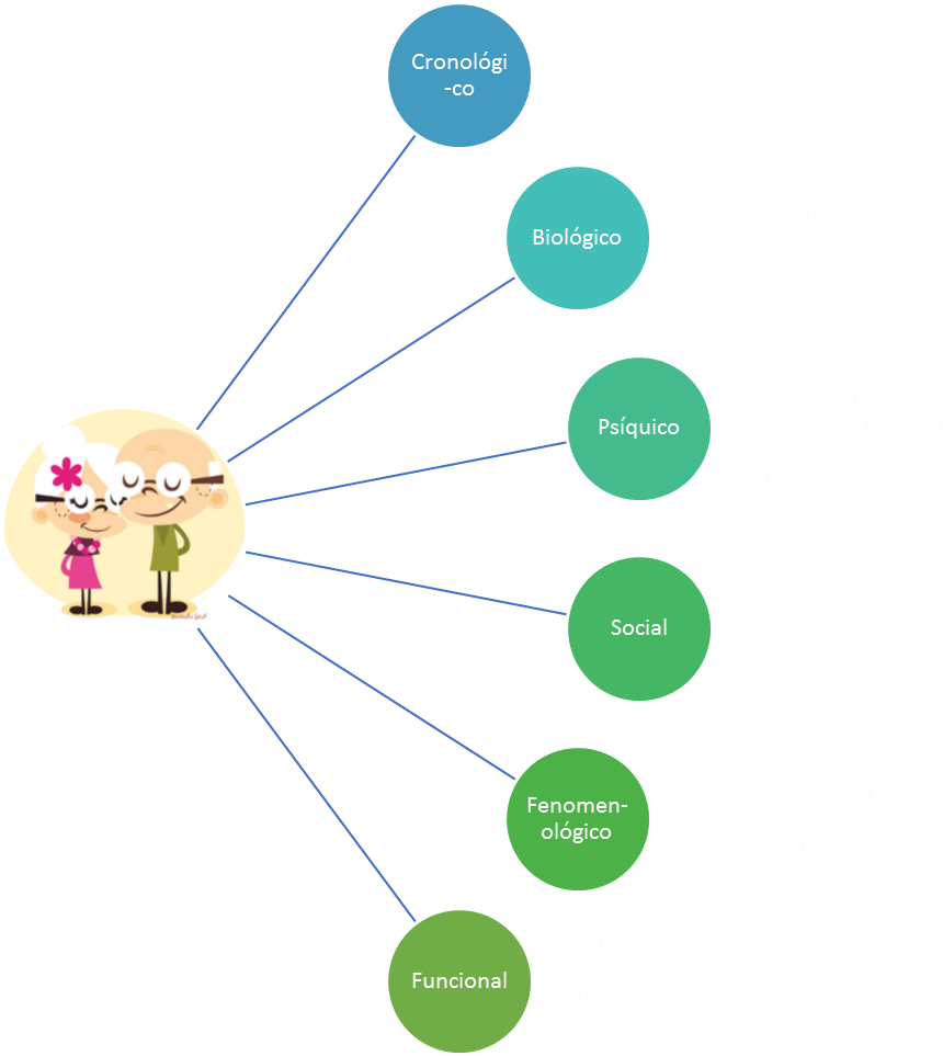 El Envejecimiento Iniciaría Desde El Nacimiento, Una - 26 De Julio Dia De Los Abuelos (900x962)