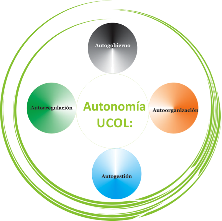 El Principio De Autonomía Establecido En La Constitución - Circle (755x750)
