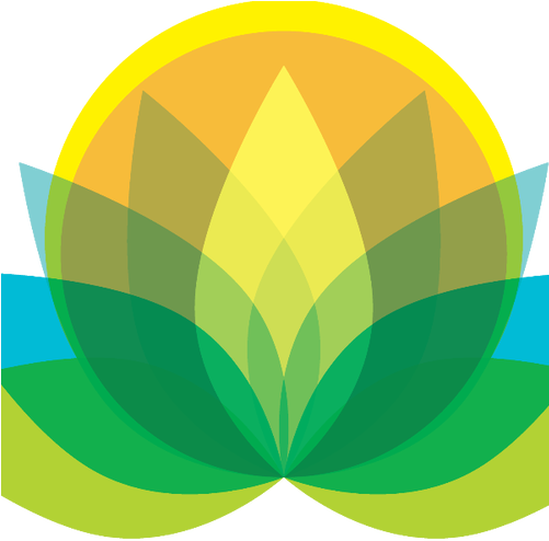 Sugar Scrubs-variety Of Fragrances Available - Fruit (500x500)