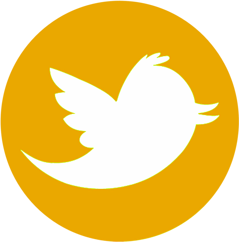 It Will Feature Old School Latin Rock And Soul With - Google Drive Circle Icon (800x800)