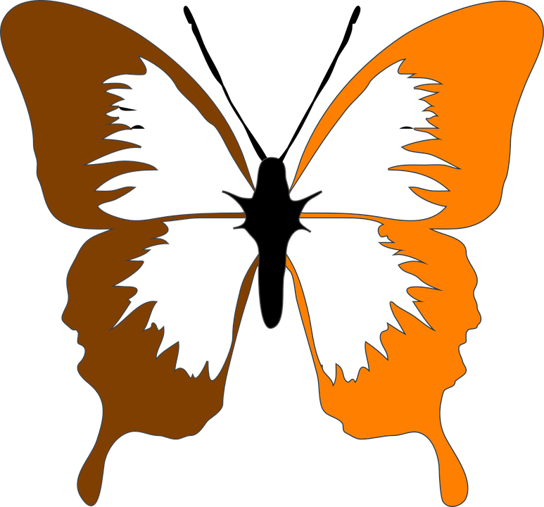 Butterfly Clipart Evolution - Butterfly Clip Art (773x720)