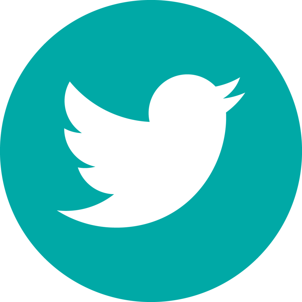 Icon-twitter - Twitter Logo For Youtube (1000x1000)